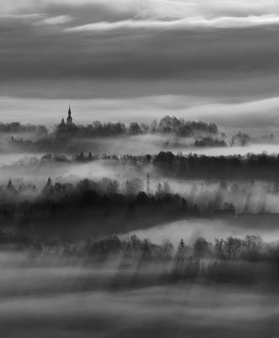 Čarobno jutro by Darja Cesar