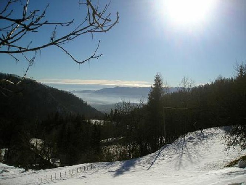 novoletno sonce by natasha