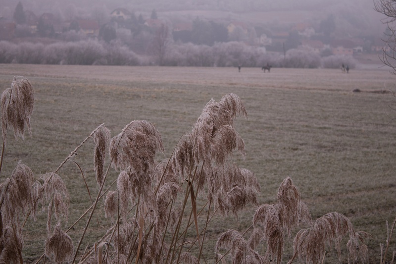 Zamrzjena pokrajina by compfun