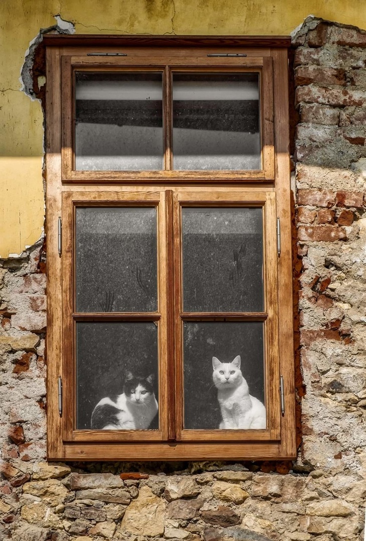 V karanteni by Branko Zupanc