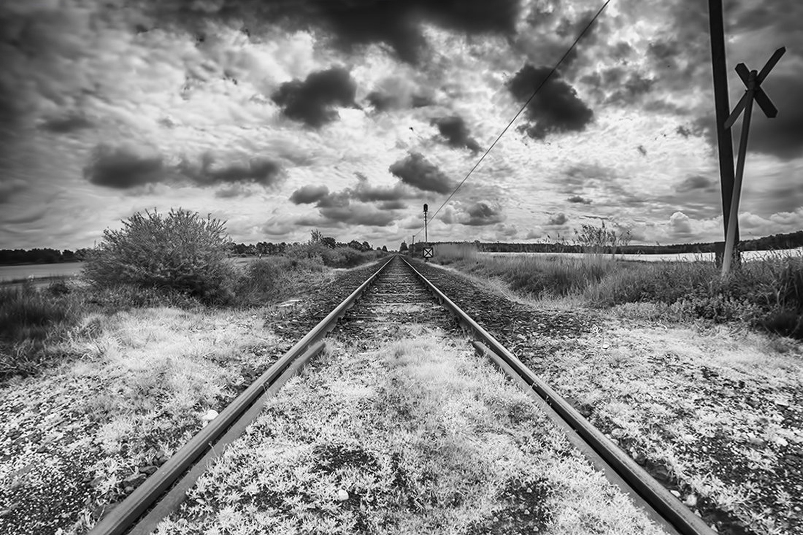 Proga by Emil B