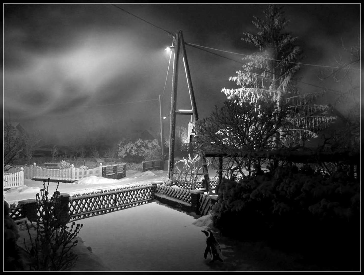 Pogled_skozi_okno by Emil B
