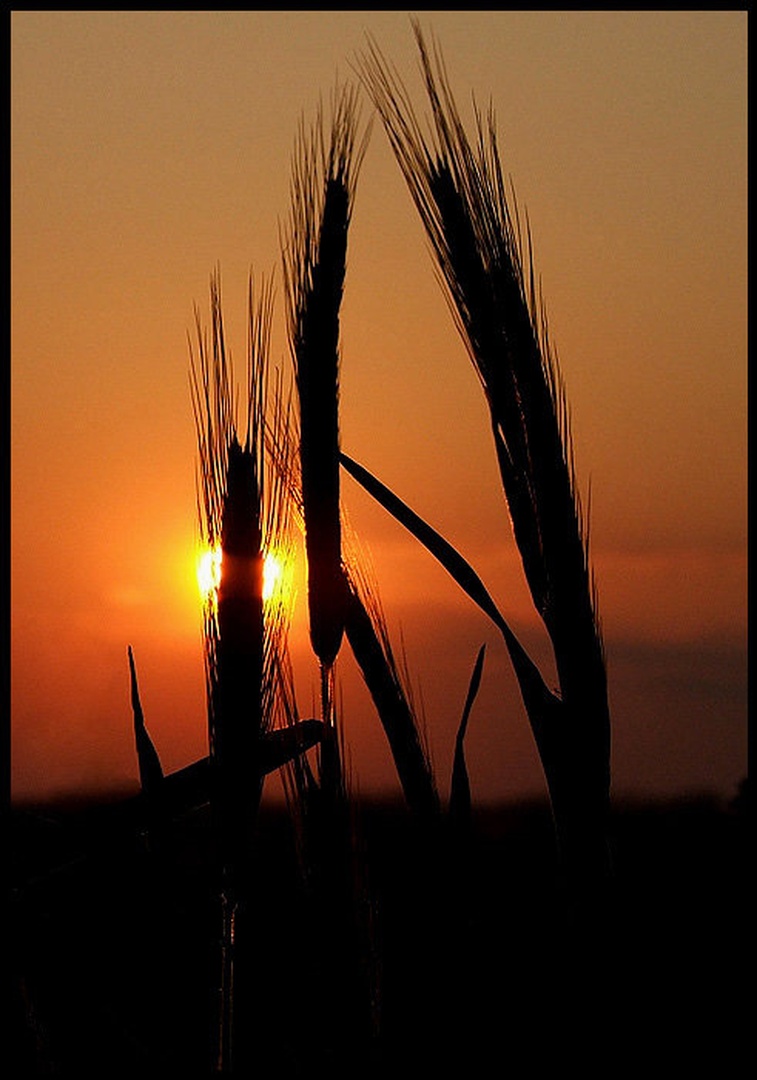 Sonce zahaja by Emil B