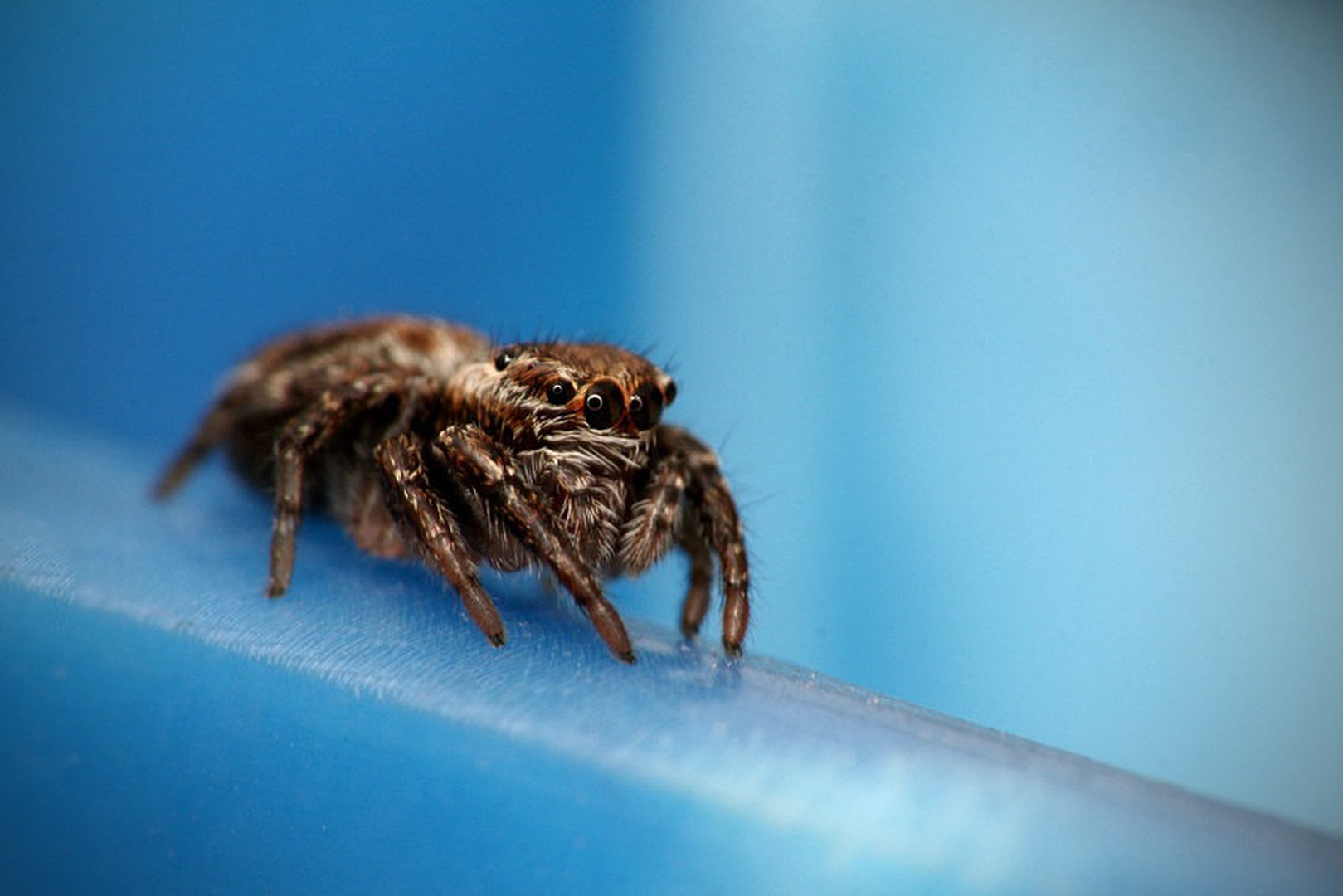 Mali by Emil B