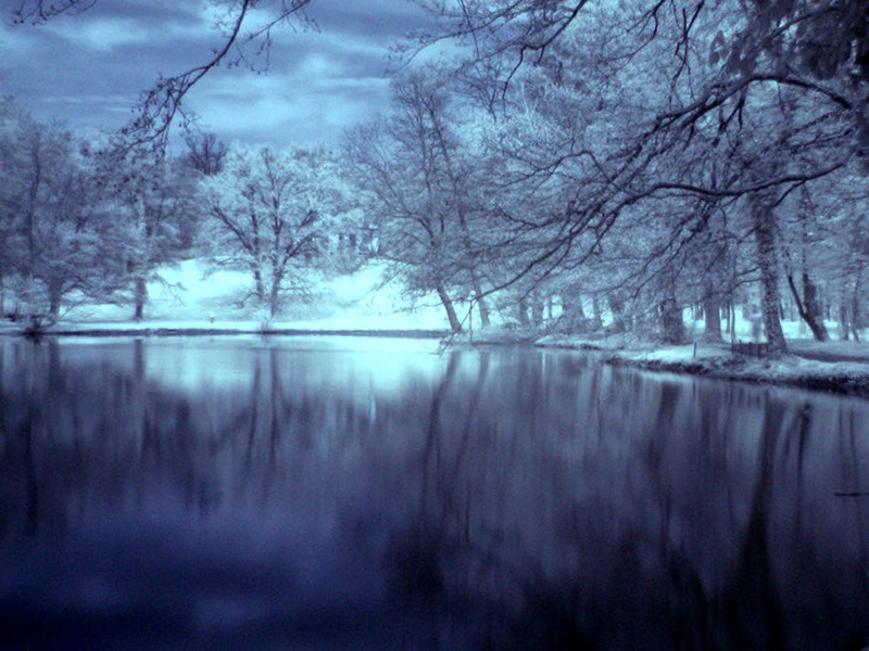 From The Fairy Tale by eXtreme