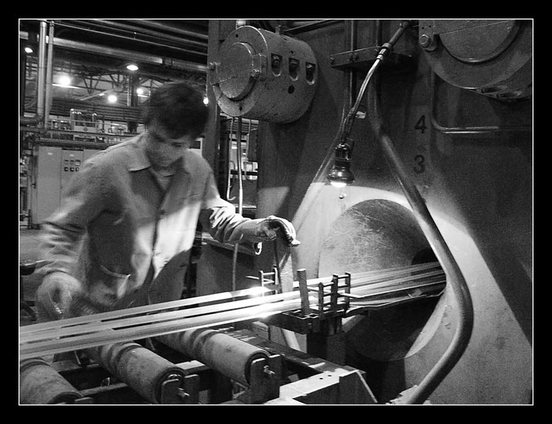 Hard working ... by Denis Ferlič