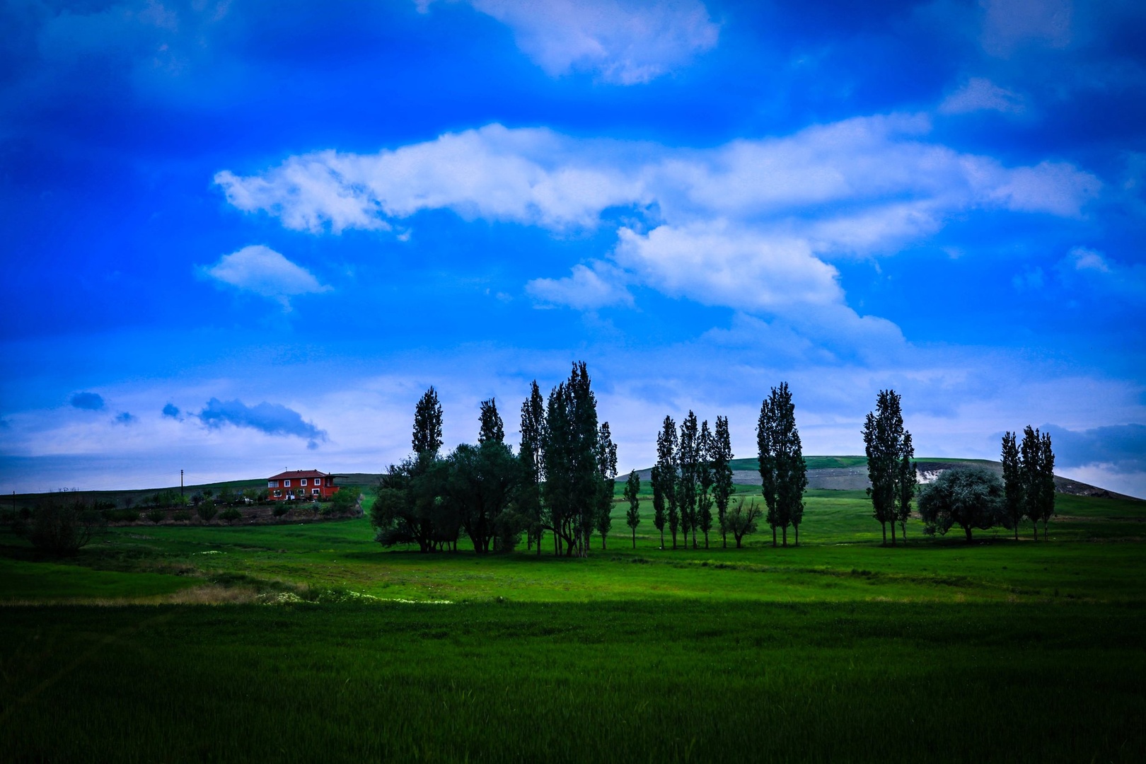 Nature by maka magnolia