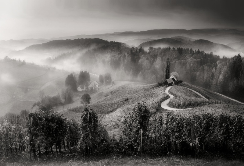 Dobra srca so povsod by Darko Geršak