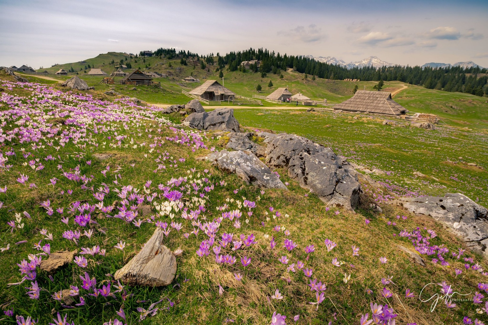 Velika planina by Gregor Vrtnik