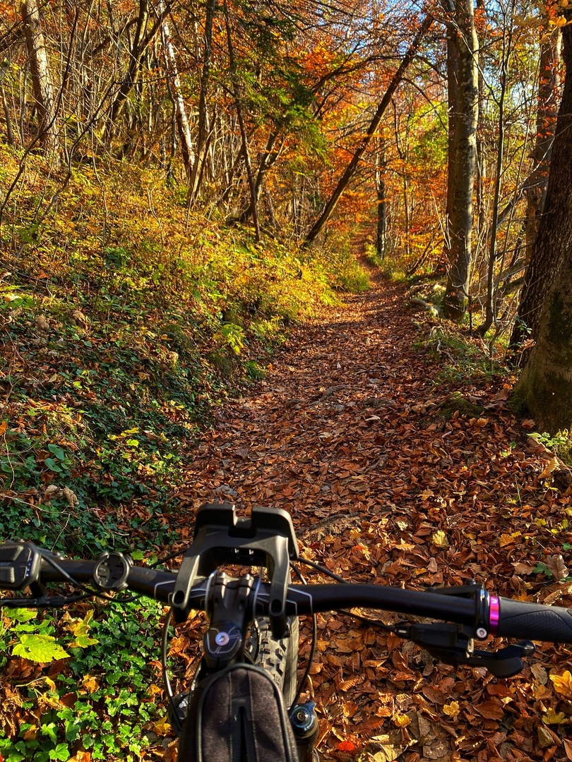Autumn ride by Andreja Pirtovsek