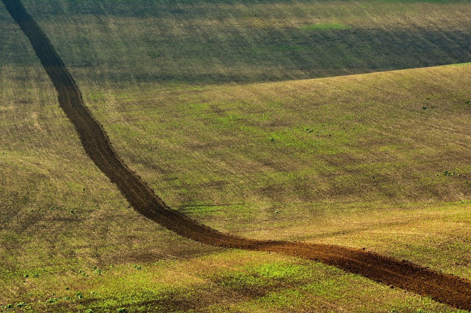 Diagonala by Miloš Vodopivec