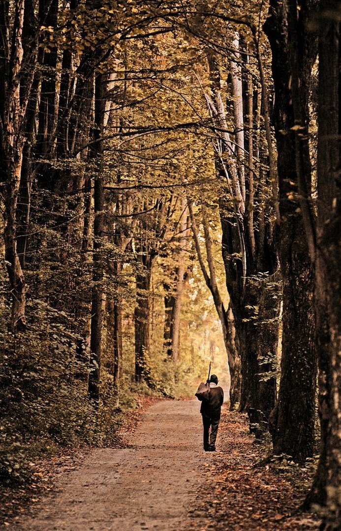 Popotnik skozi drevored by Dan Briški