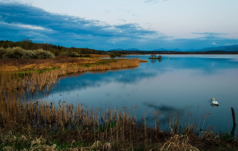 jezero by Iva Plavec