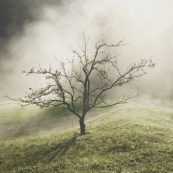 "Vdih jutra" by Eva Š. Maurer