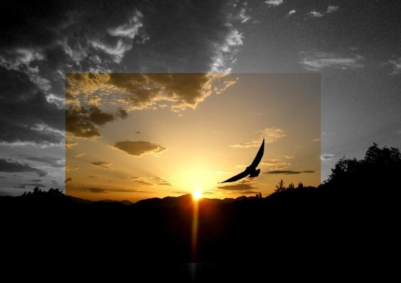 Freedom by Teja