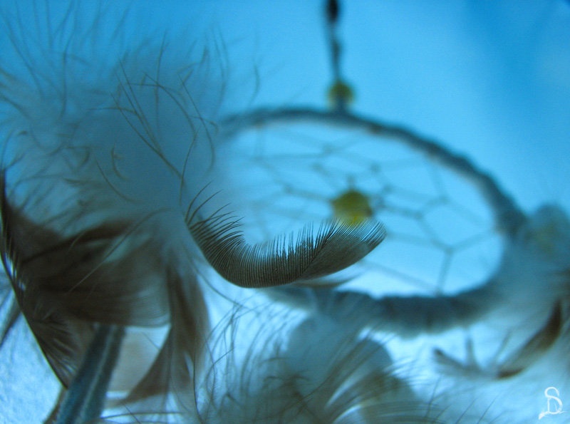 Dreamcatcher by Teja