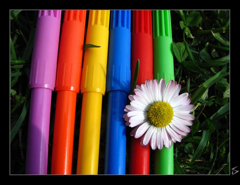 Colored by nature by Teja