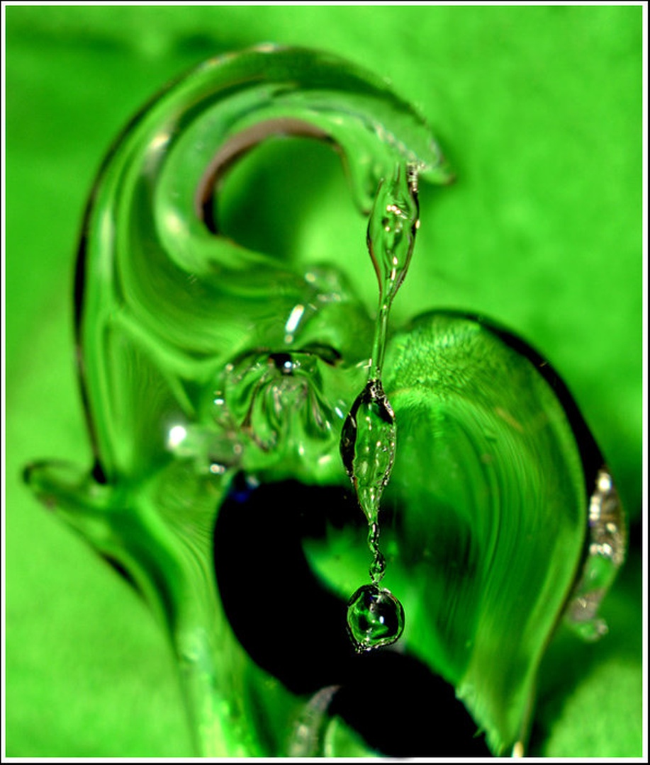 Vodni slonek by