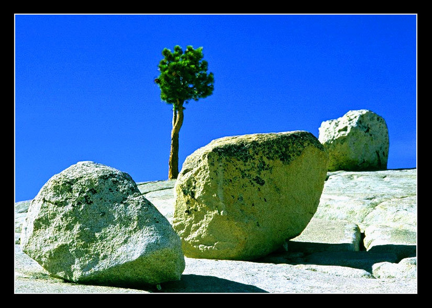 everything zen? by
