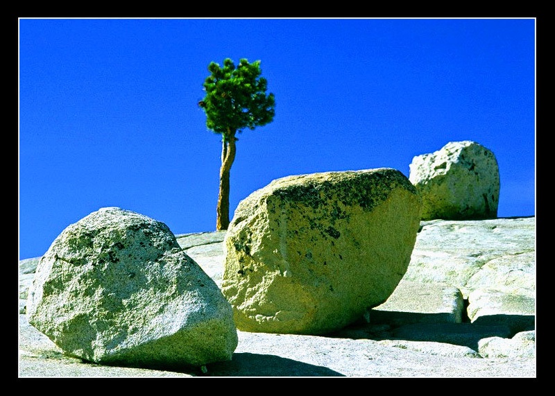 everything zen? by francg