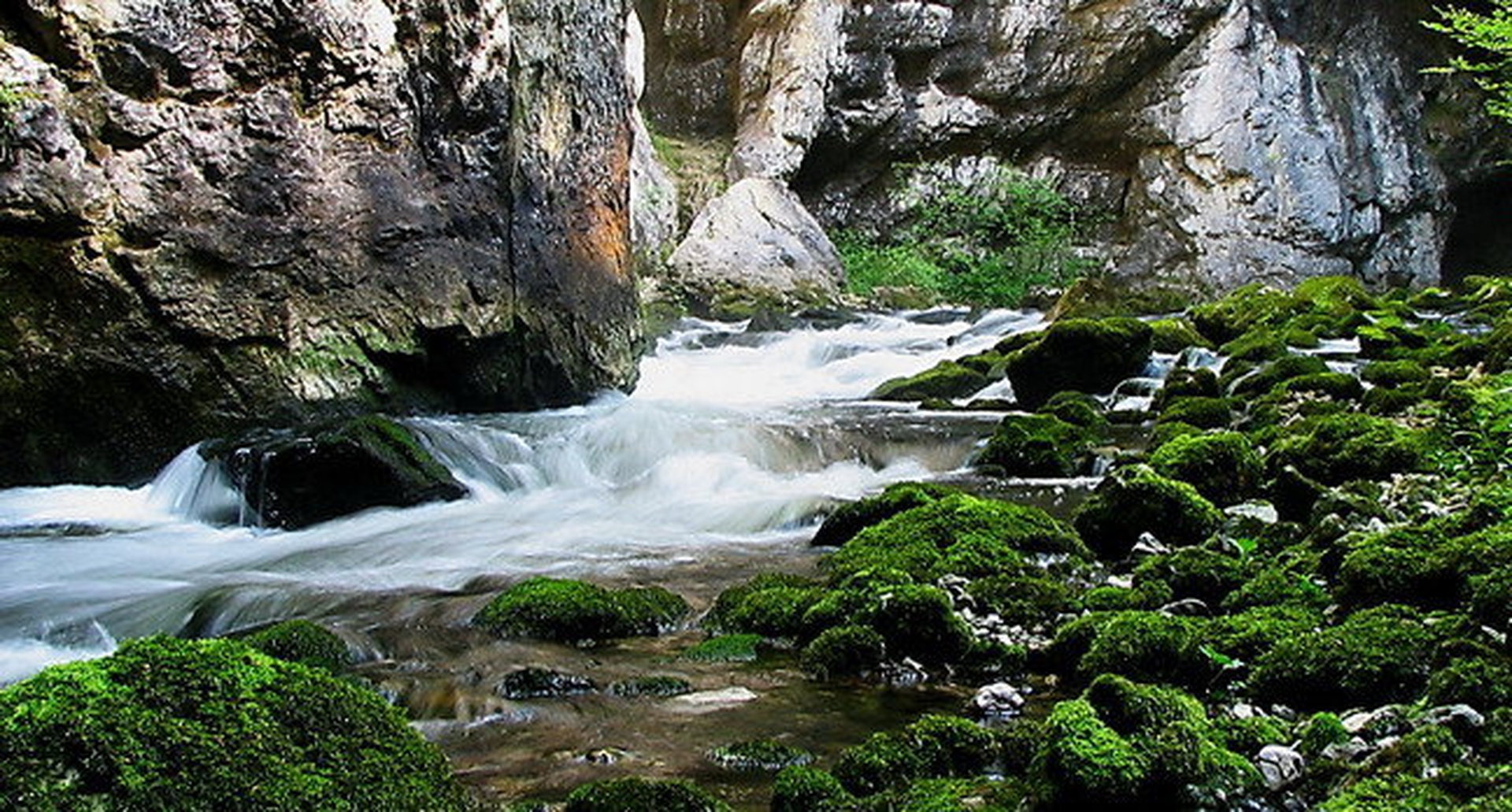 reka Rak-Zelške jame by