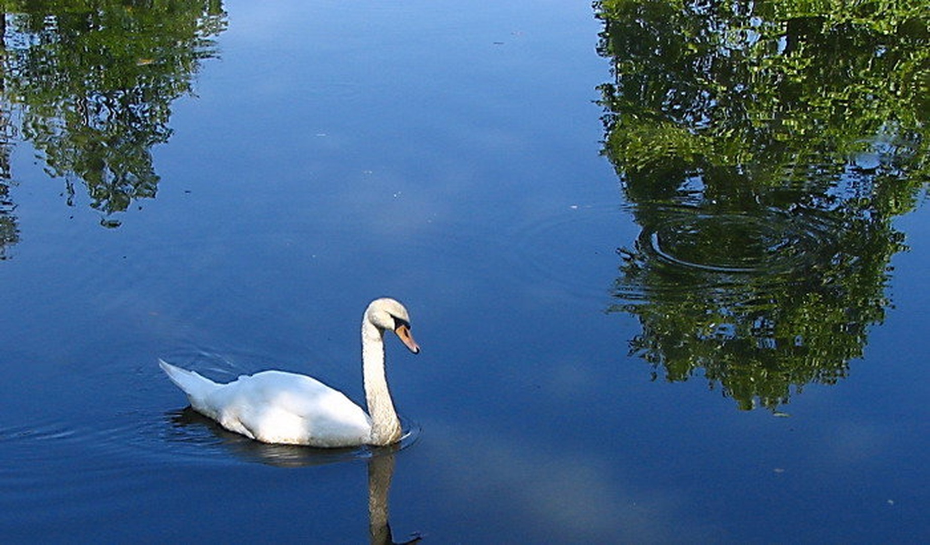 labodje jezero by