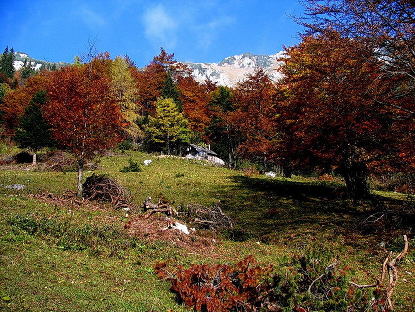 opustela je planina by