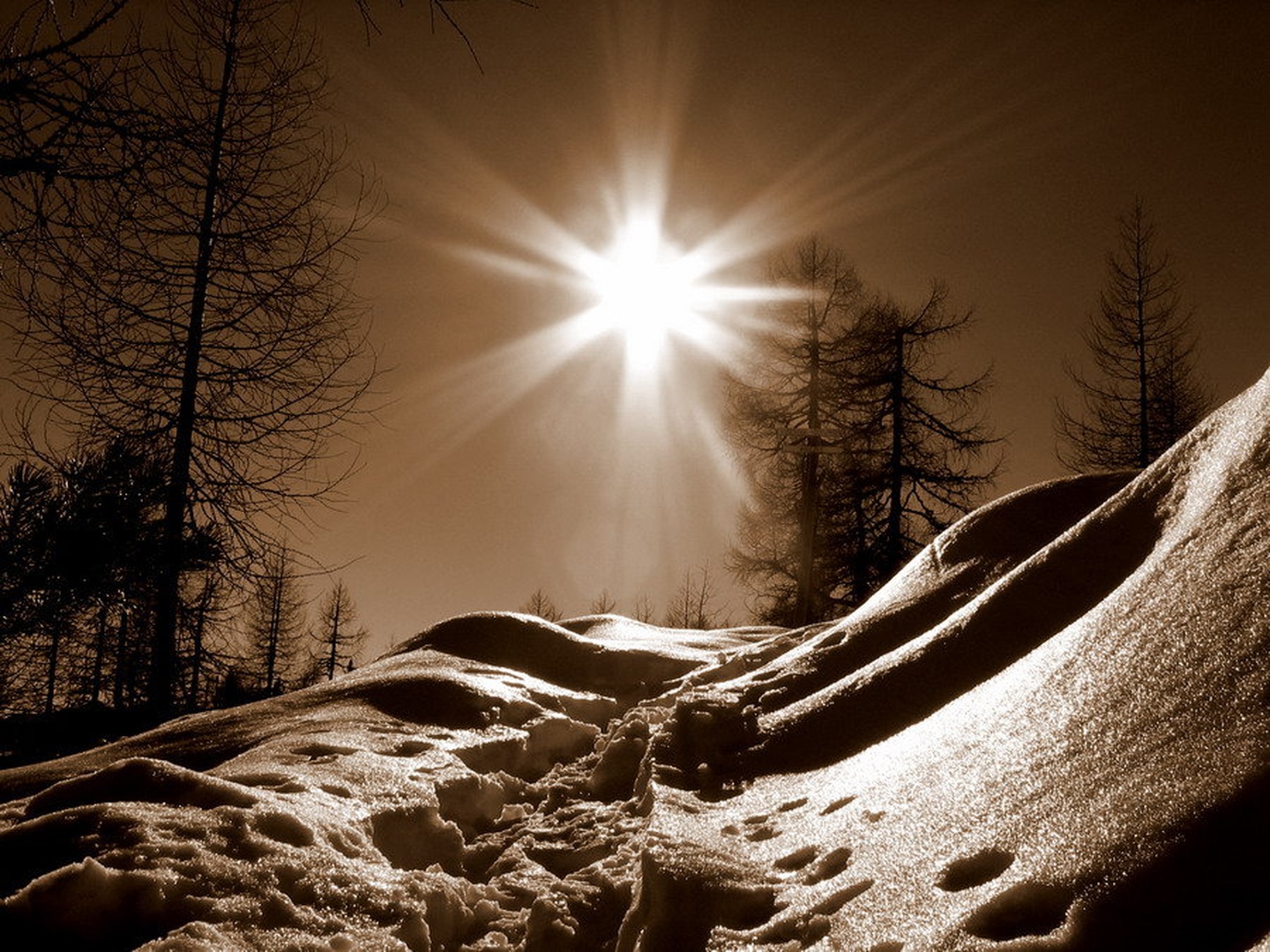 soncu nasproti by