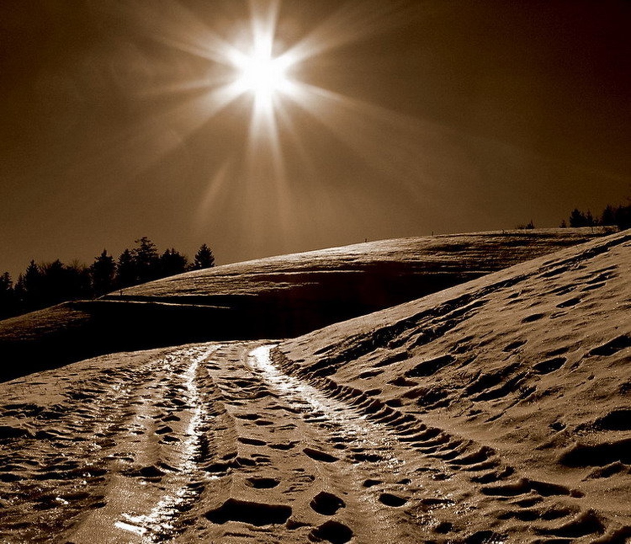 sonce by