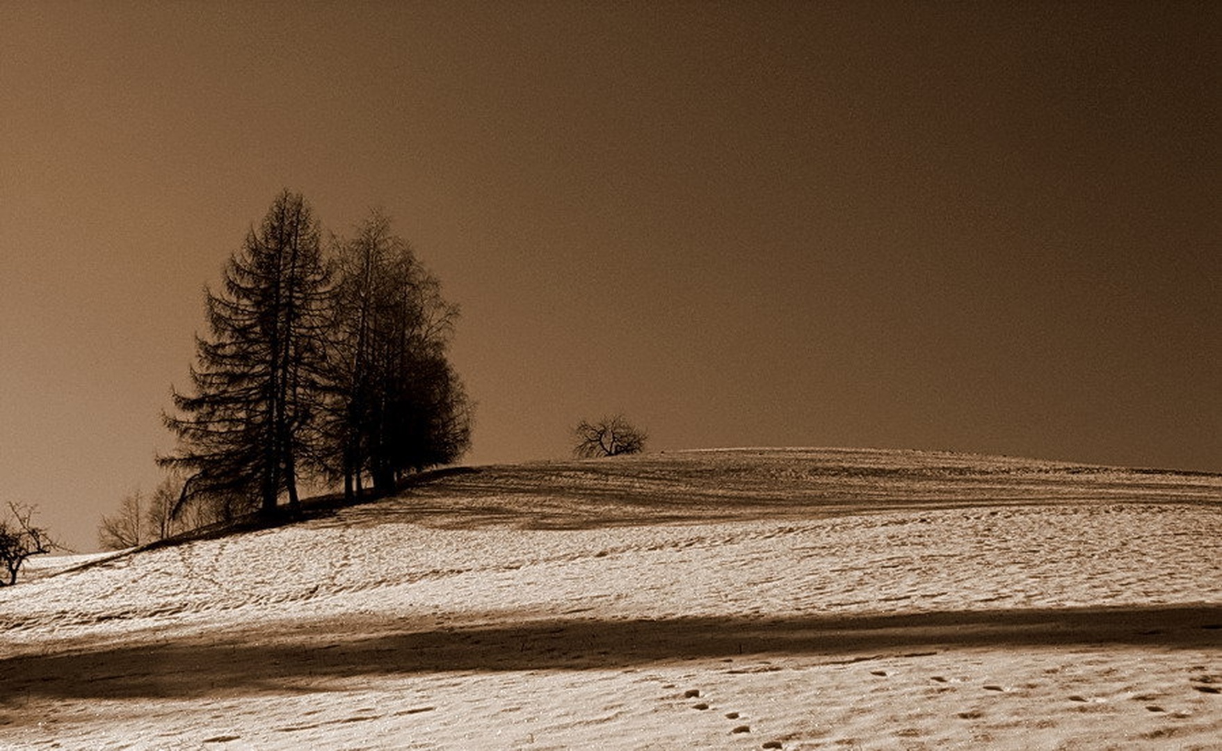 IDILA by