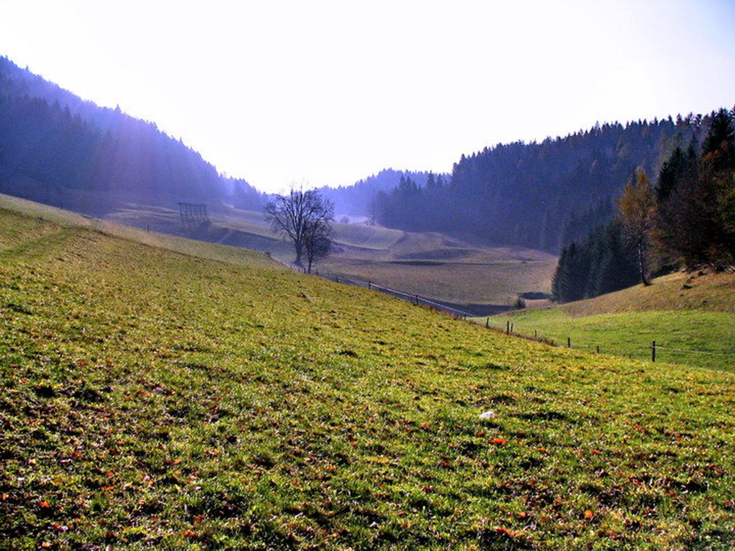 Jutro  za našo vasjo by