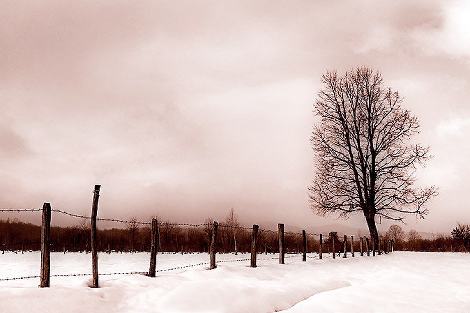 Simple by Mirko Sorak
