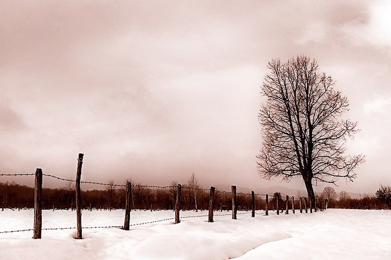 Simple by Mirko Sorak