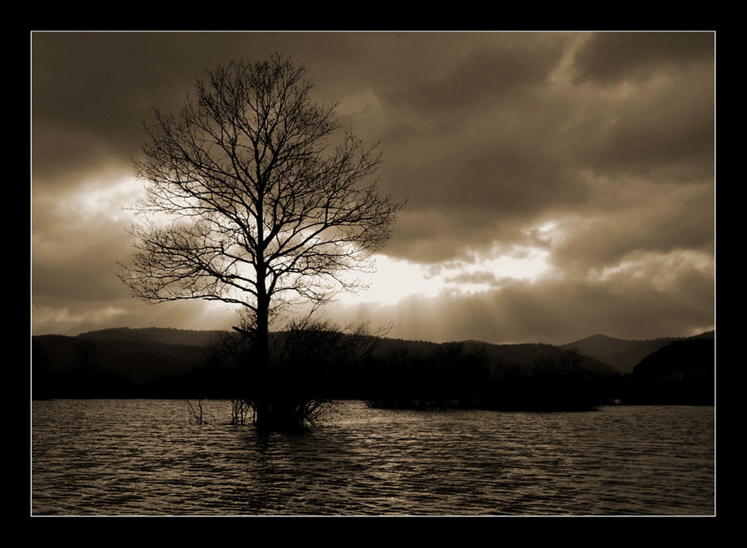 Mystic days by