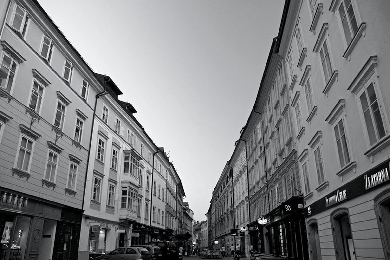 Portret Stare Ljubljane by Matevž Bizjak