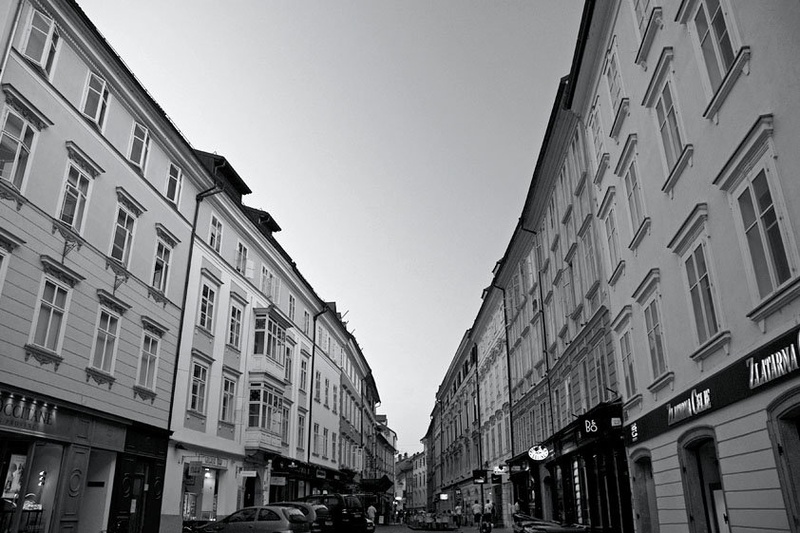 Portret Stare Ljubljane by Matevž Bizjak