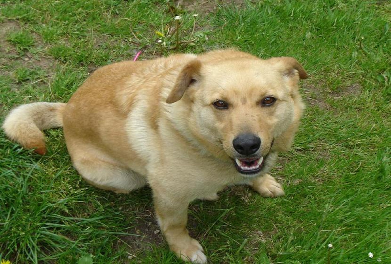 Umakni  se hlače ti bom pomeril grr by