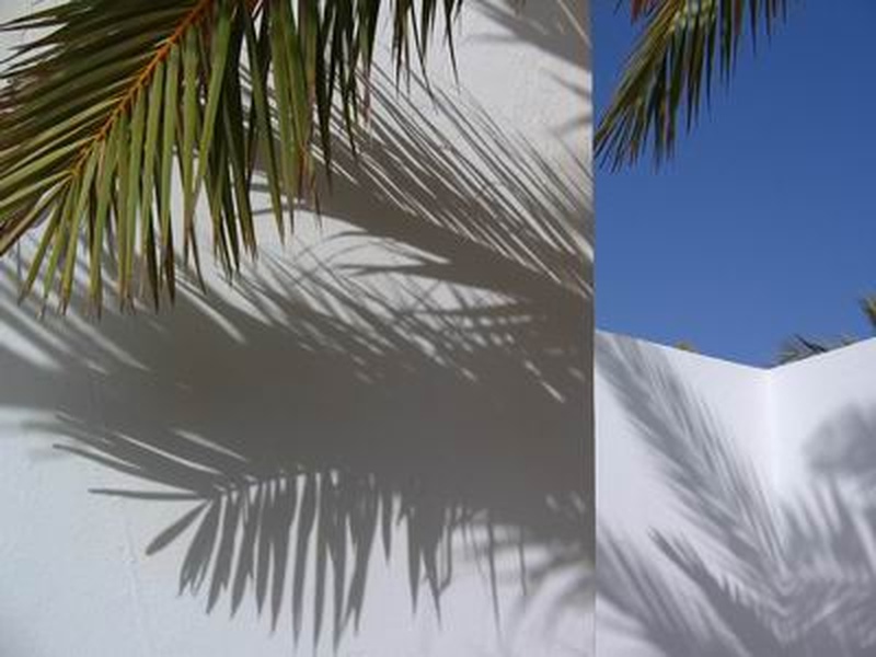 senca by psiho