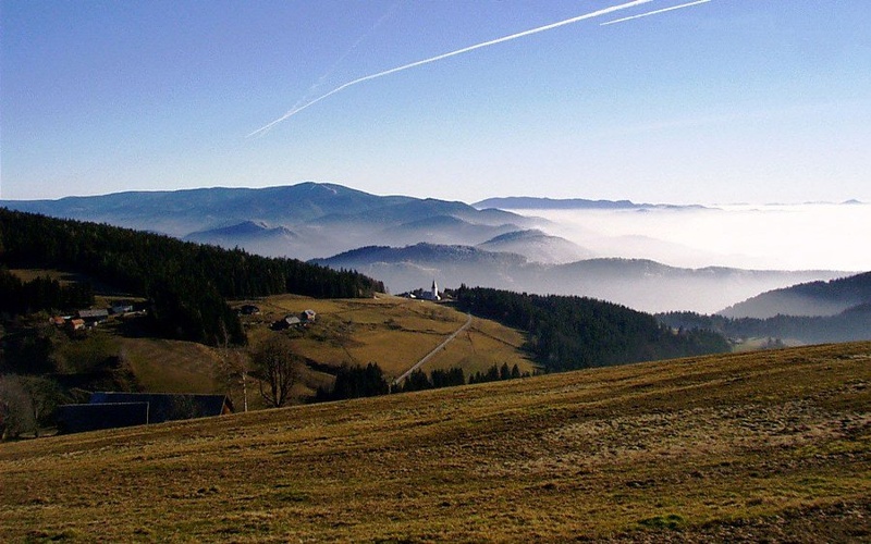 Koroška by laznik