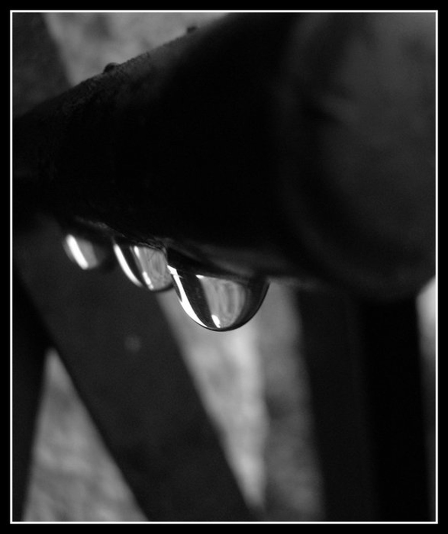 same med rjo-(2) by