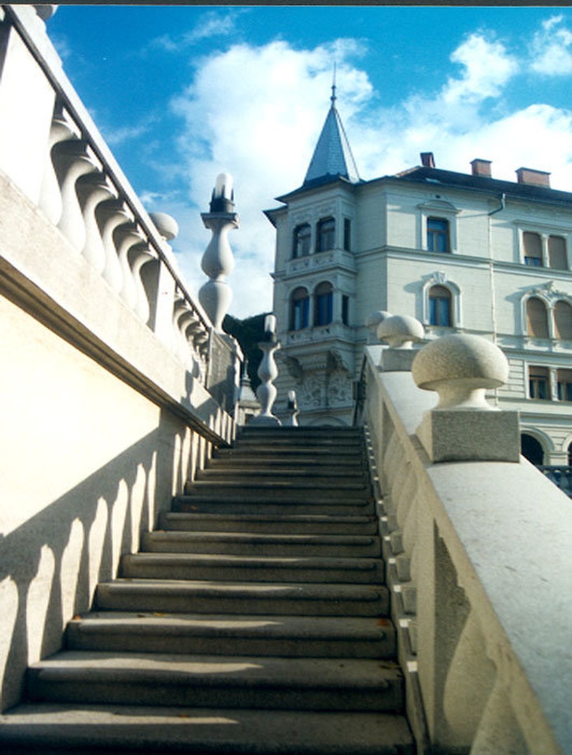 Kos ljubljane by