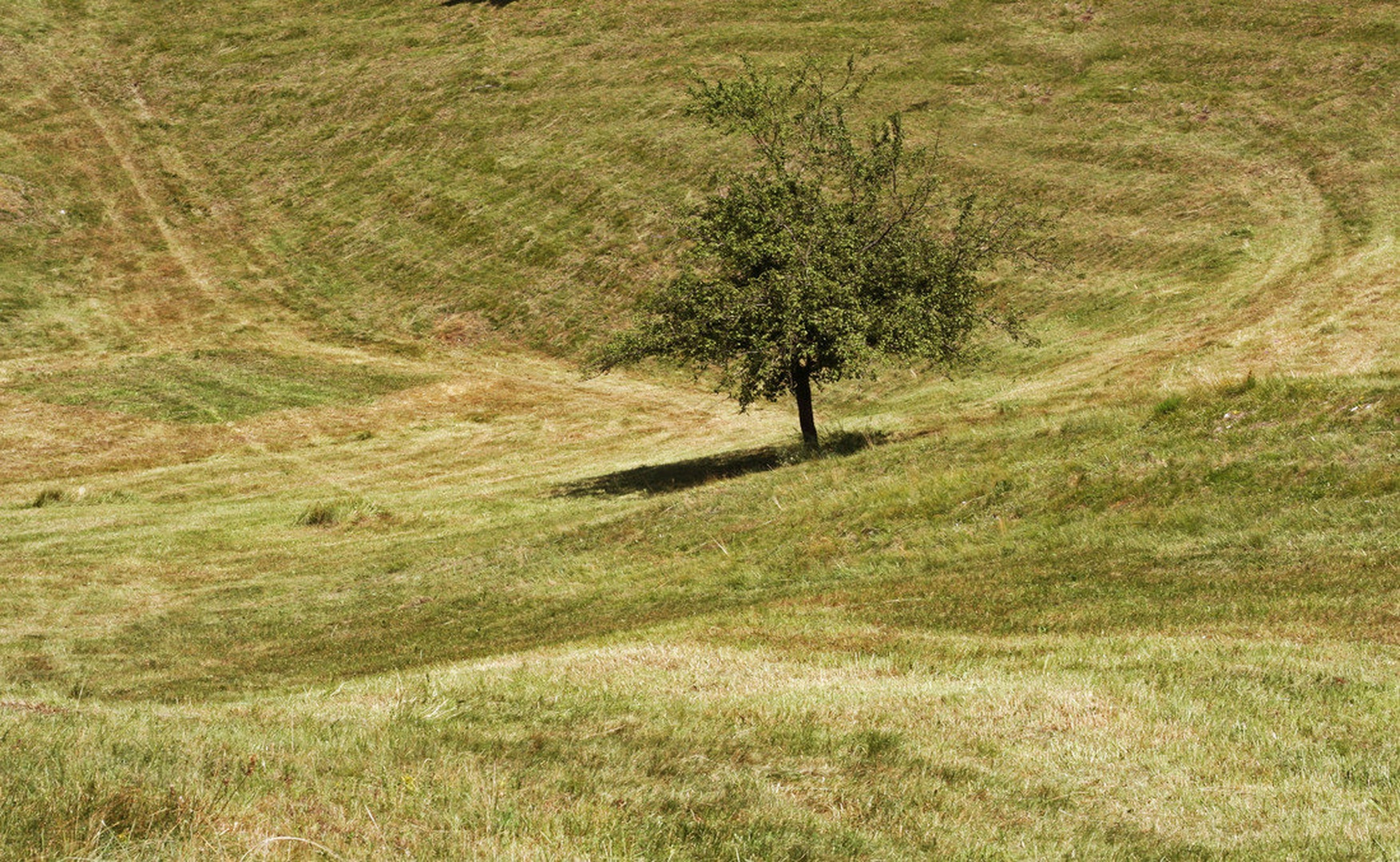 Nihaji pokrajine by