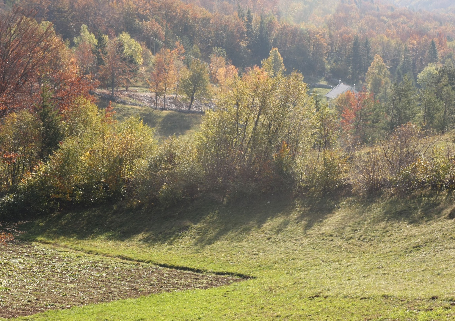 Isaknje tišine by