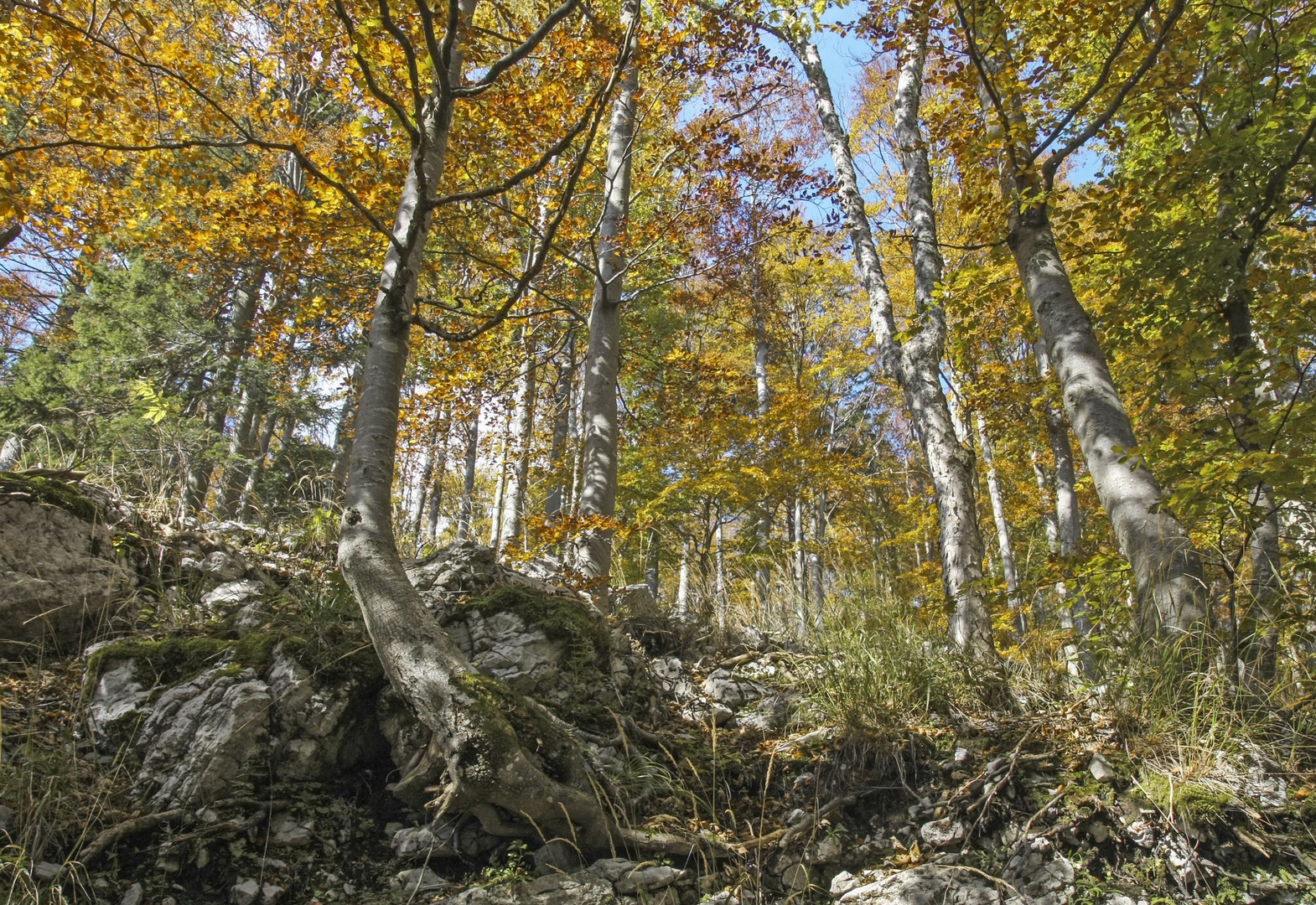 Meditacija v tišini by