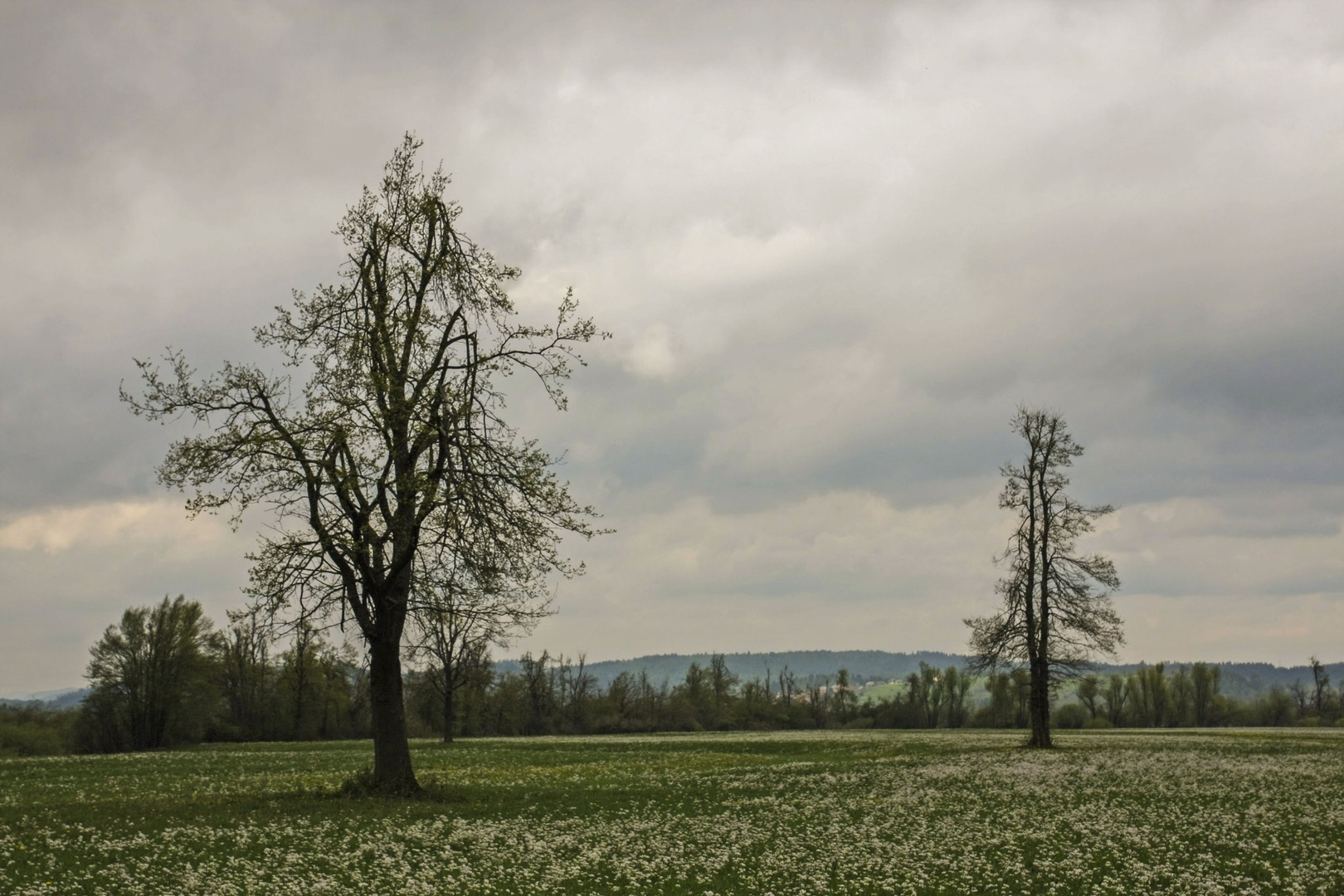 Tišina by