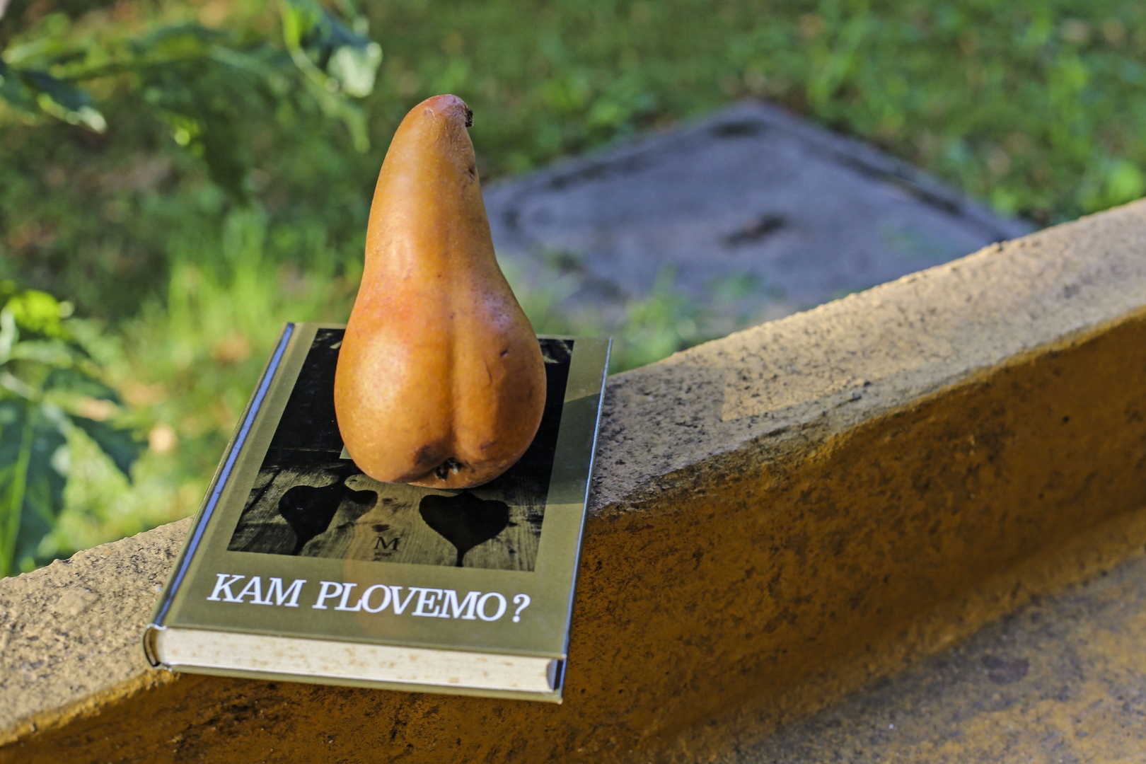Vprašnje? by