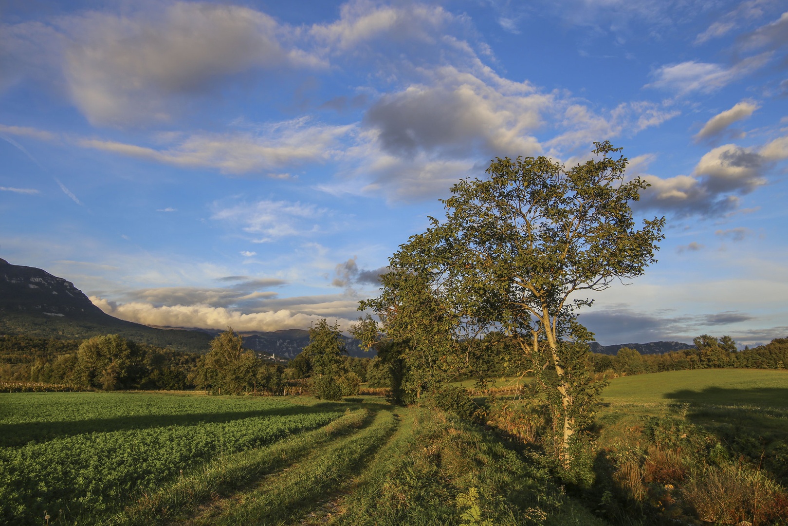 Na vetroven dan by