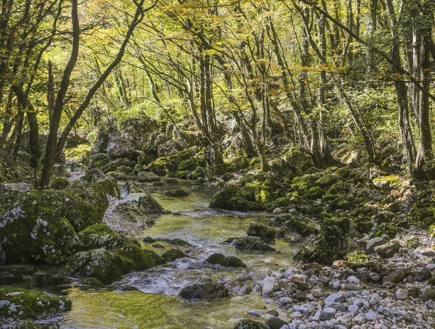 Sakralnost kanjona by