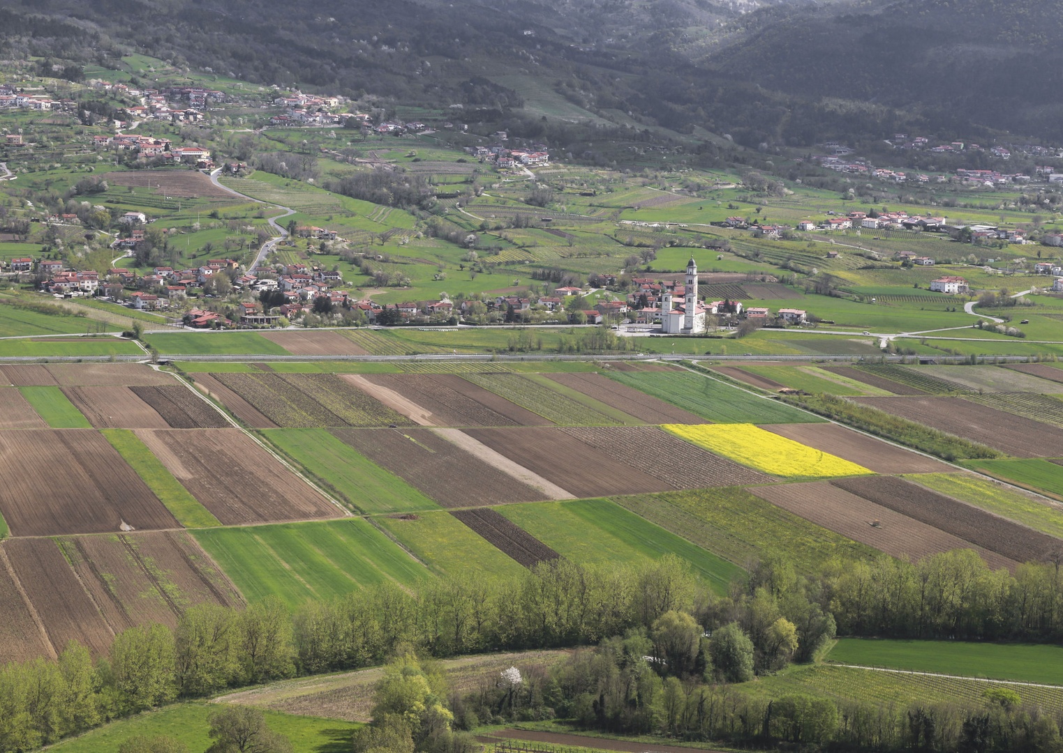 Vipavska dolina. by