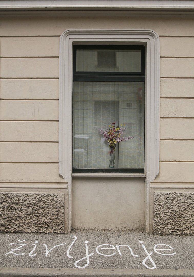 Pripoved ulice by